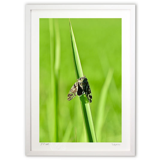 ちょっと珍しい光景