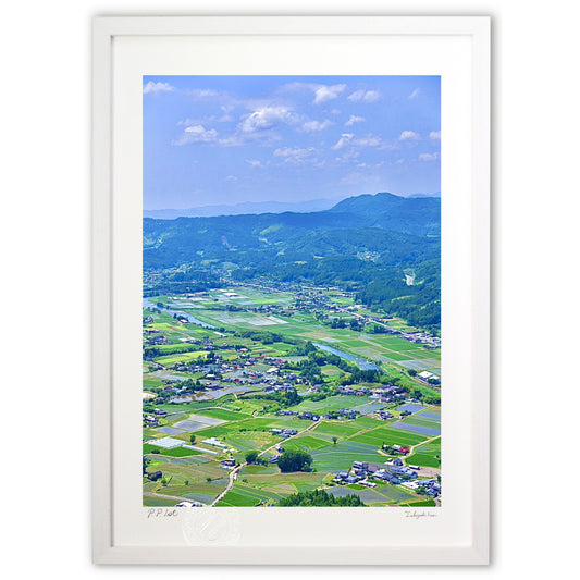 片田舎の水田の風景