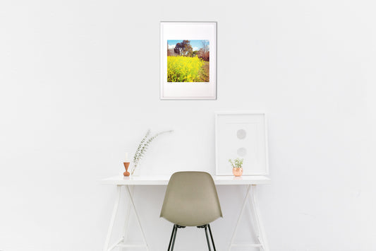 あの日の菜の花