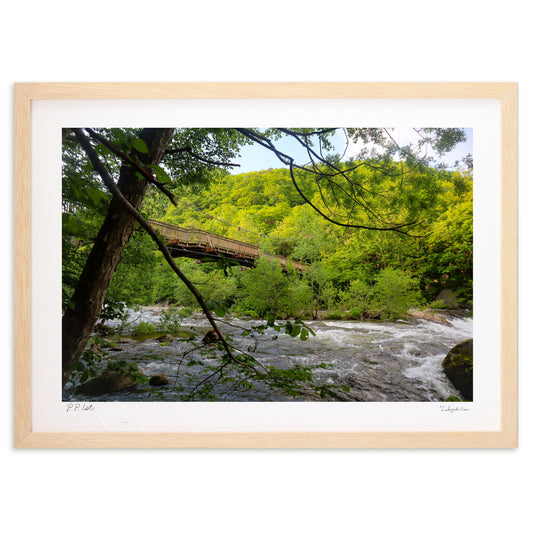 蔦川と出合い橋