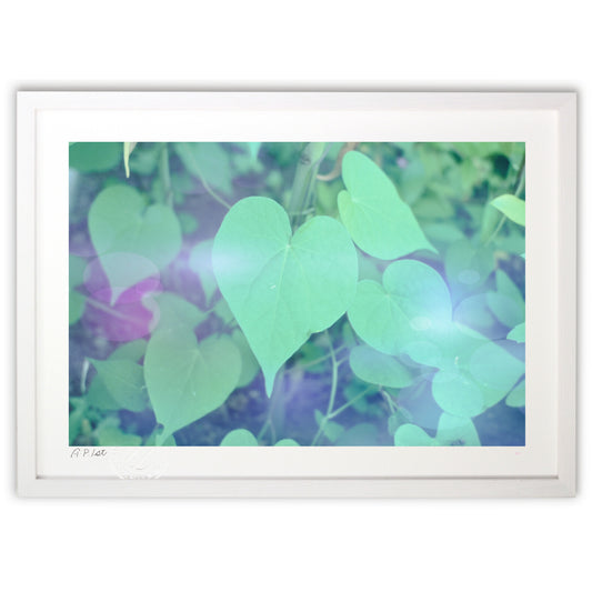 ハートの葉っぱ