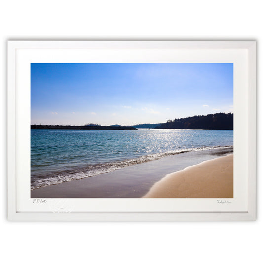 気仙沼大島の海